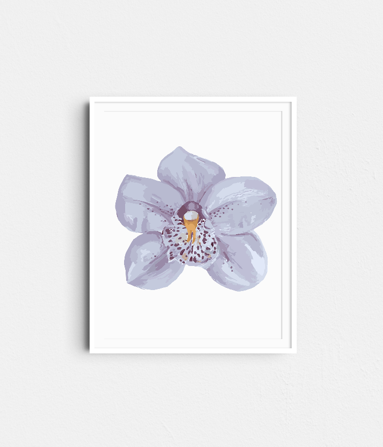 Paint Like Frida - Orchid I Big Rolled Paint by Numbers Kit - Size 15.7 x 19.6 inches Big Rolled Canvas in white frame