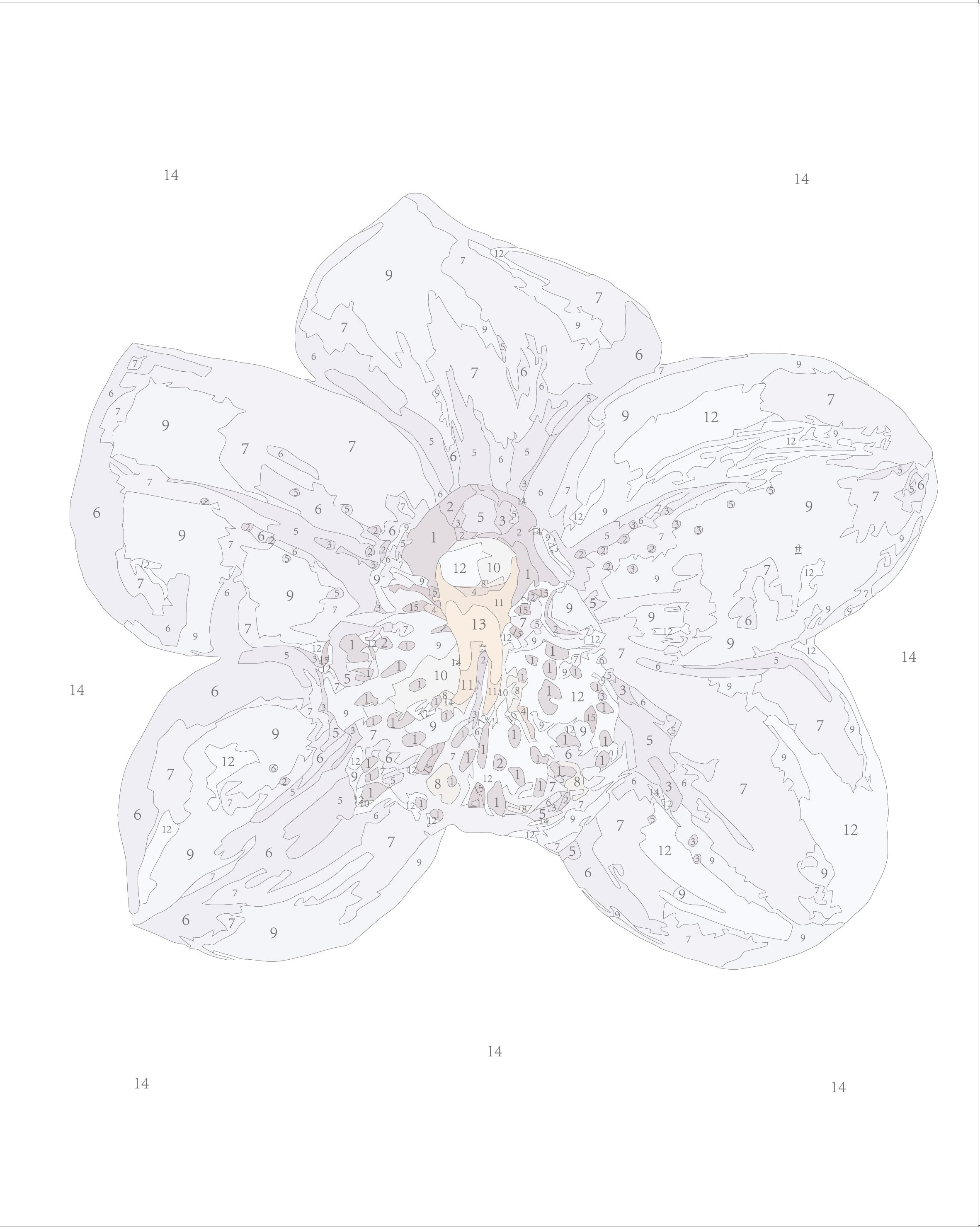 Paint Like Frida Orchid I mini framed paint by numbers canvas photo