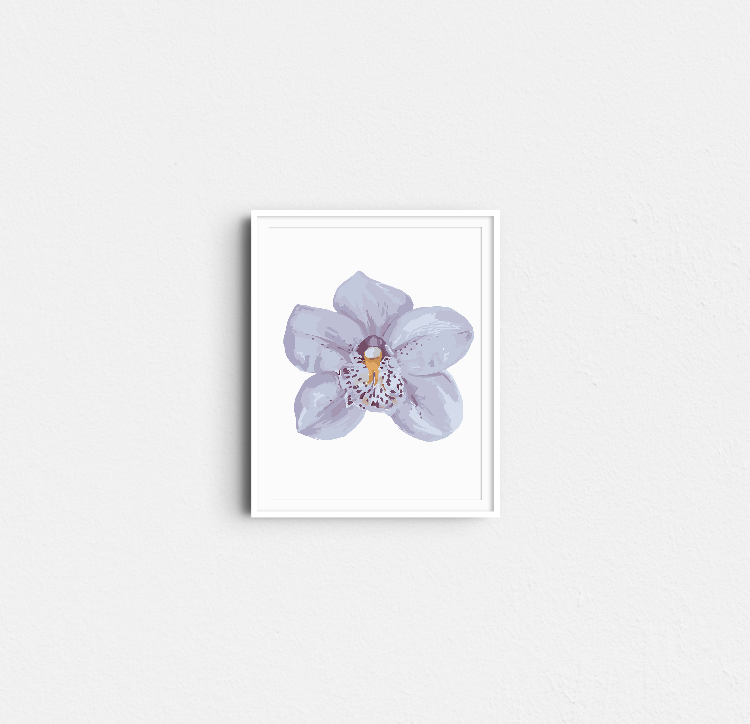 Paint Like Frida - Orchid I Mini Rolled Paint by Numbers Kit - Size 7.8 x 9.8 inches Mini Rolled Canvas in white frame