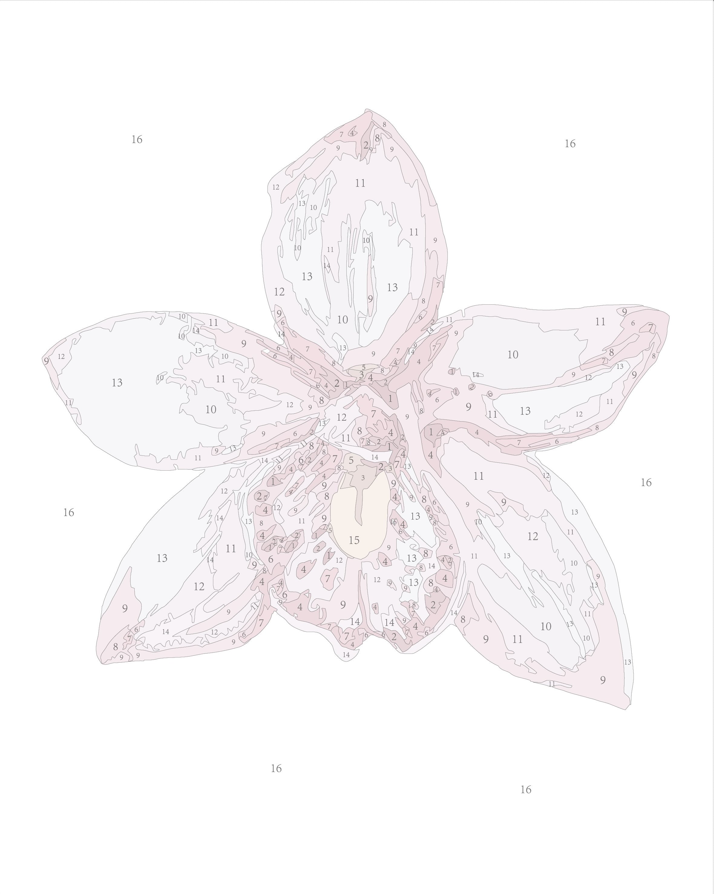 Paint Like Frida Orchid II mini framed paint by numbers canvas photo