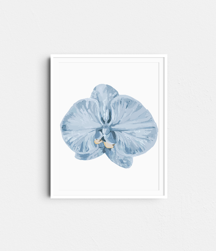 Paint Like Frida - Orchid III Big Rolled Paint by Numbers Kit - Size 15.7 x 19.6 inches Big Rolled Canvas in white frame