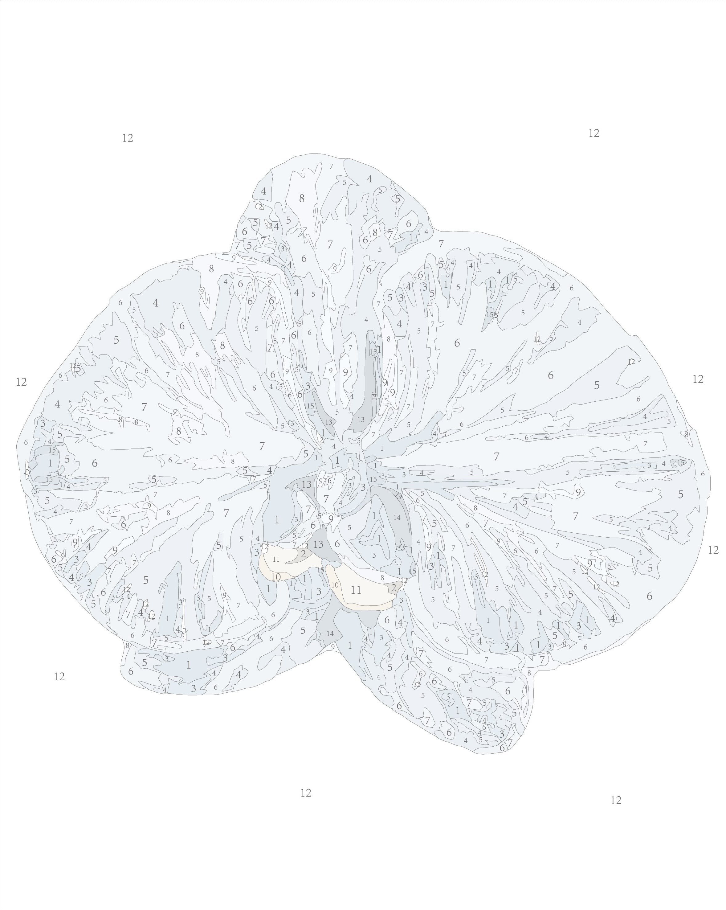 Paint Like Frida Orchid III mini framed paint by numbers canvas photo