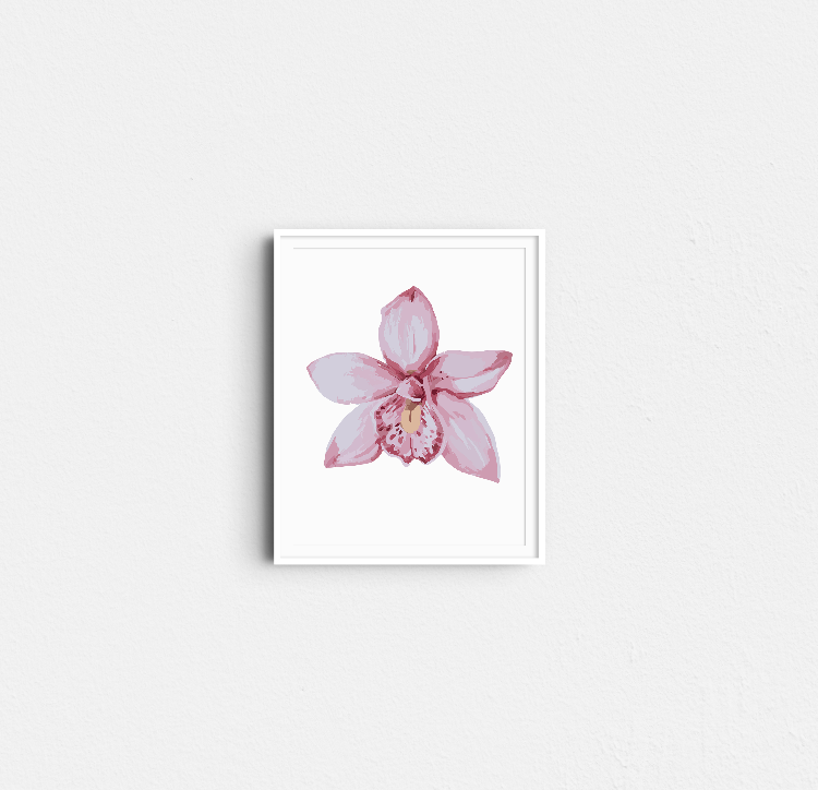 Paint Like Frida - Orchid II Mini Rolled Paint by Numbers Kit - Size 7.8 x 9.8 inches Mini Rolled Canvas in white frame
